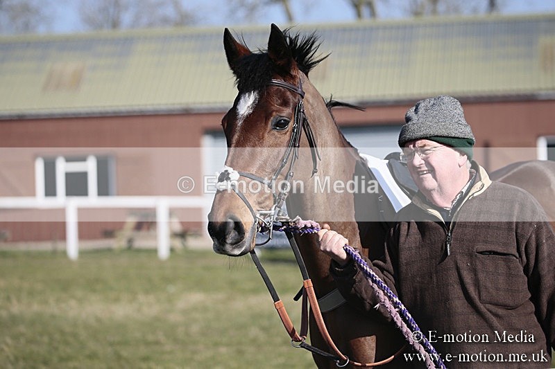 PtP 240218 115 - Vine & Craven Hunt Point-to-Point Barbury racecourse 24/02/18
