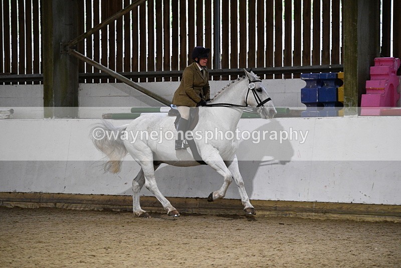 WJ5_8830 - Class 15 Ridden Show Horse