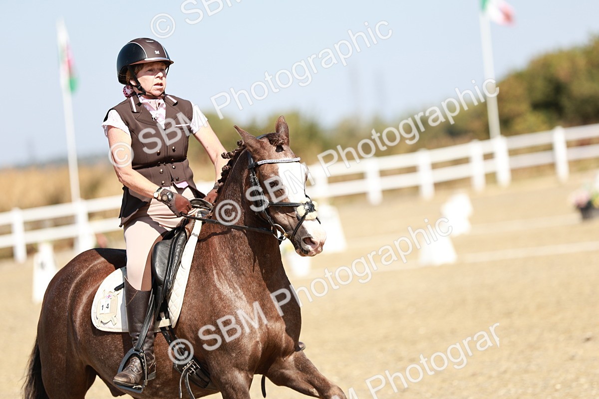 SBM_017386