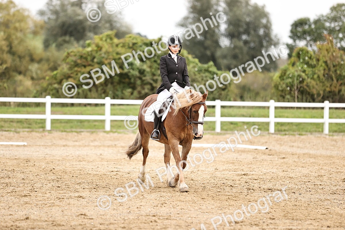 SBM_002739 - Prelim 1