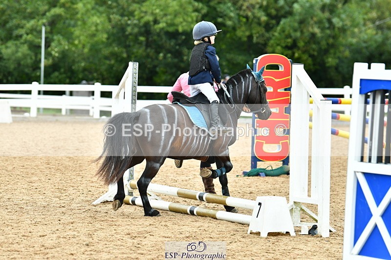 230804A-114809-02376 - Showjumping Competition