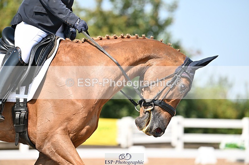 250816-121632-04200 - 119-Amanda.EdmondsNutfields.Don.Care.Paravel