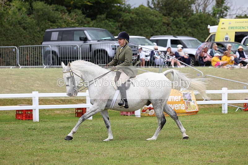 3E7A0949 - Class 8: Open Riding Horse/Hack