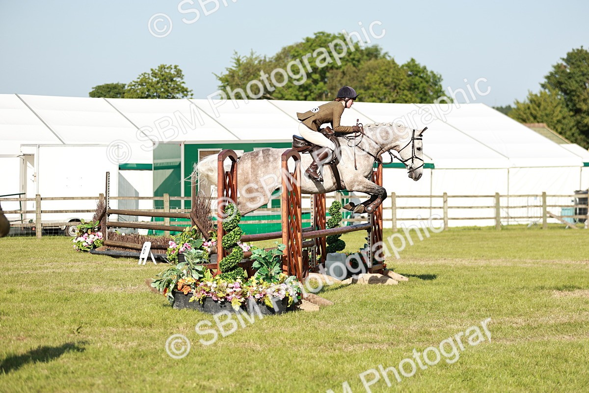 SBM_19949 - Class 115-116 - LIHS BSHA Rising Star Working Hunter & Show Horse