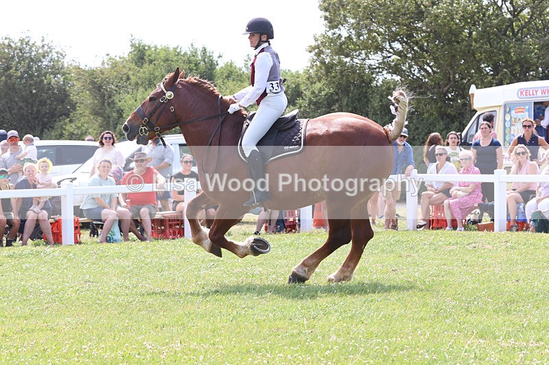 JPP_3514 - Class 15: Heavy Horse Ridden