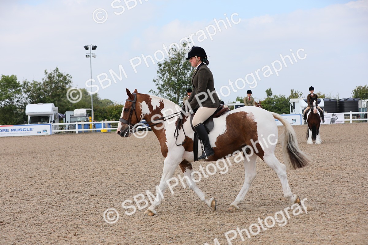 SBM_13394 - Class 308 Ridden Coloured Horse