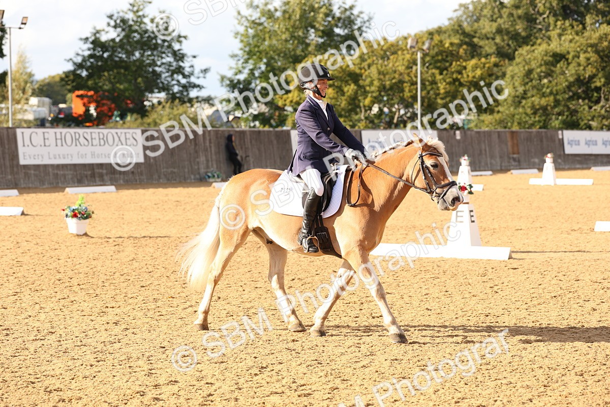 SBM_28203 - D20 - Grand Tour Championship Elementary 3