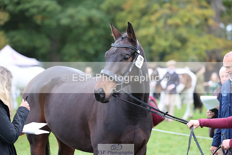 251026A-110433-23493 - F-474-Sarah.Orme