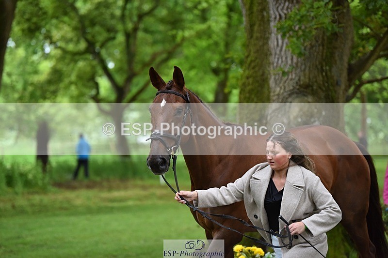 240522-172350-01573 - 279-MHF_LADY-Poppy_von_Maltzahn