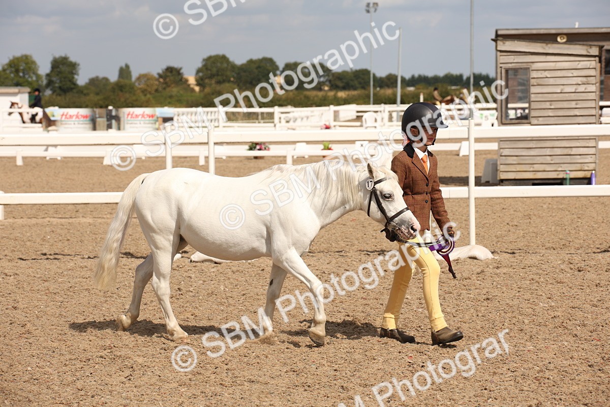 SBM_03805 - Class 19 Judge's Favourite