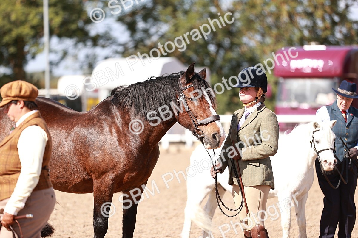 SBM_22903 - Class 706 - IH Veteran