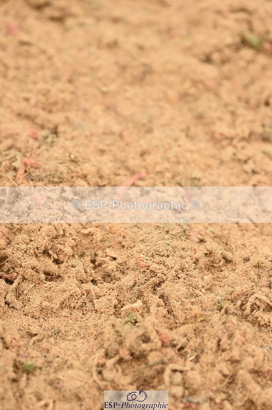 230610A-154250-04095 - Cls 25 Team Competition