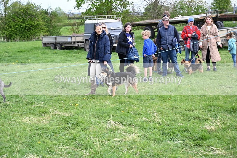 WJ6_8474 - Class 6 Best Rescue