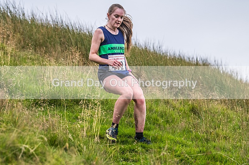 Steel Fell-623 - Steel Fell Race Wednesday 6th August 2025