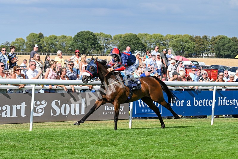 140825-Race 5-Chillhi-1531 - Race 5