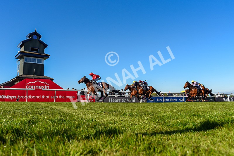 230426-Race 7-Sunny Orange-1319 - Race 7