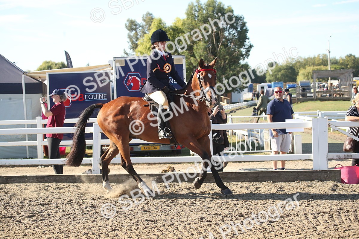 SBM_11357 - Class 501 -Riding Club Pony