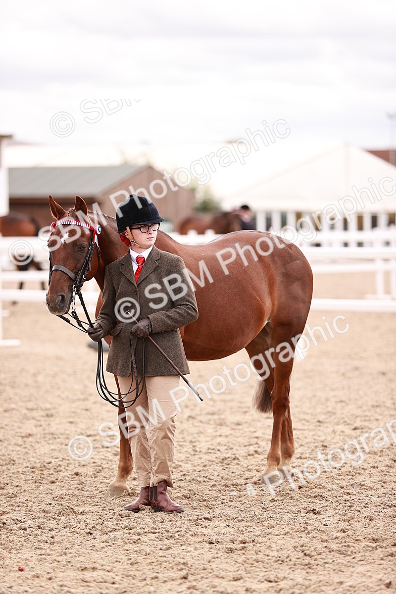 SBM_16357 - Class 413 - Best Condition - Adult