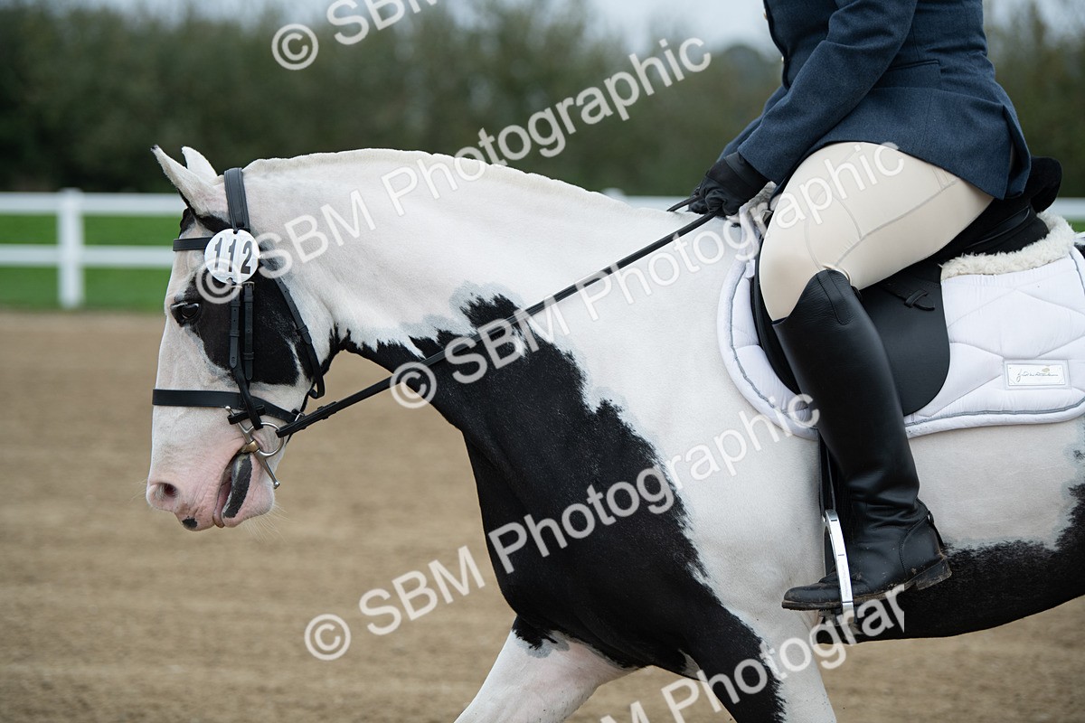 SBM_003485 - Introductory Test 3