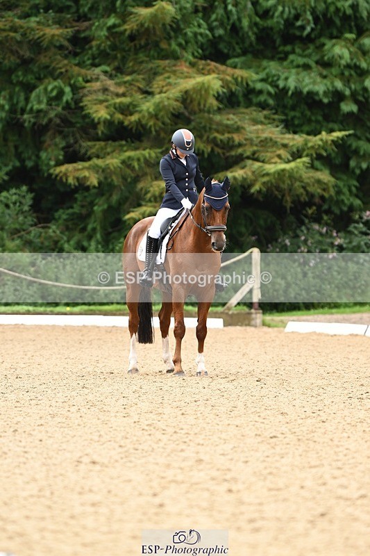 240811-101810-04983 - 110-Helen.Kitto-Da.Vinci.IV