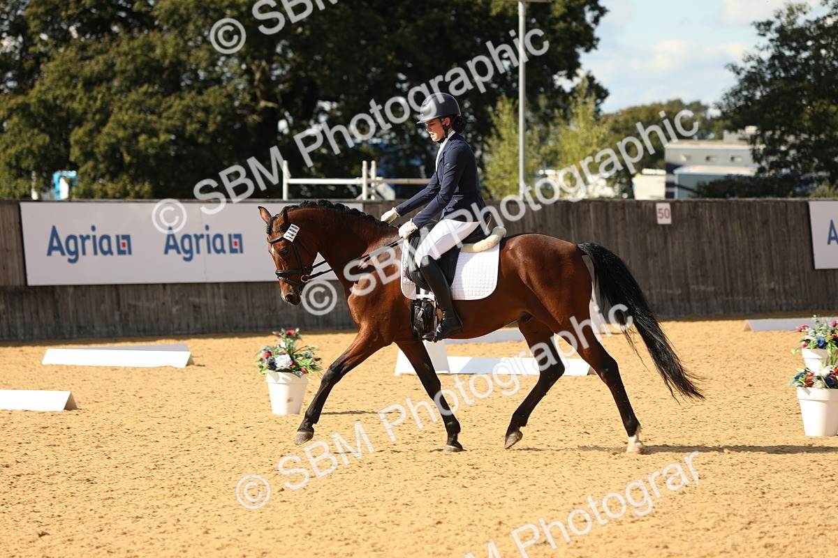SBM_26624 - D17 - Grand Tour Championship - Novice 27