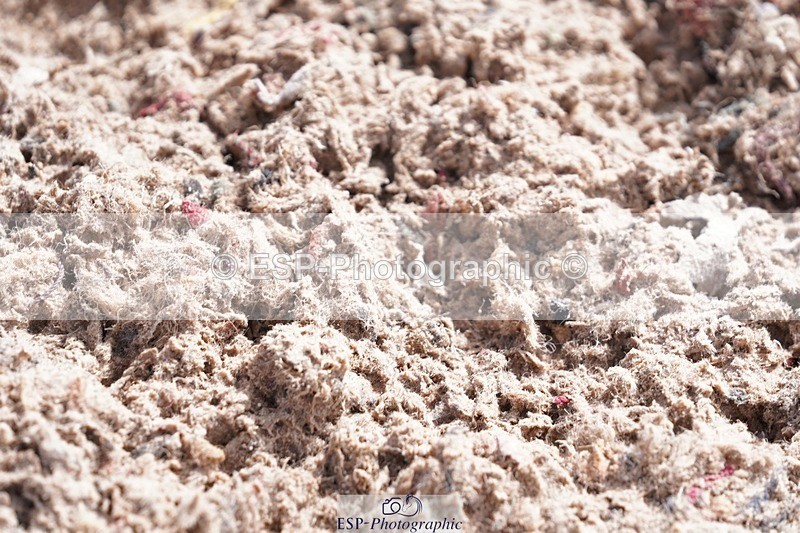 250628-094558-02934 - Cls 21 Stepping Stones