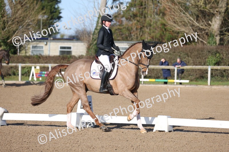 20260128-0185 - Class 3 - Novice 4