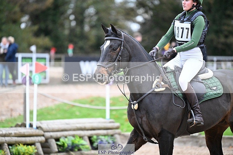 241117-141425-04487 - Cls 3 90-95cm 14.00 to 15.00