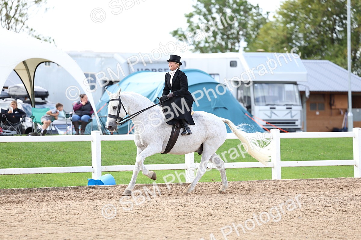 SBM_03216 - Class 22 - SSA Equitation (any age)