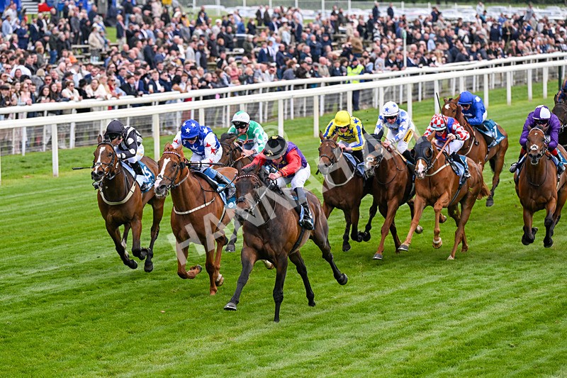 150526-Race 3-Warrant Holder-0168 - Race 3 2.55pm Support Macmillan Charity Raceday On 13 June Handicap