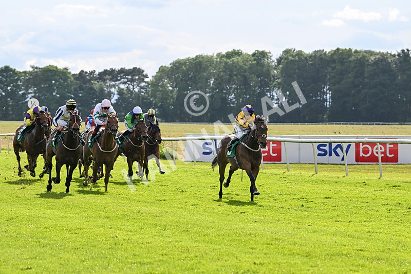 160624-Race 5-American Affair-8951 - Race 5