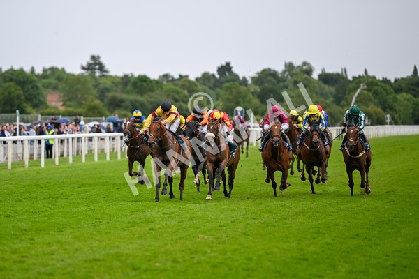 150624-Race 6-Pisanello-7961 - Race 6 4.45pm Ice Co Supporting Macmillan Handicap