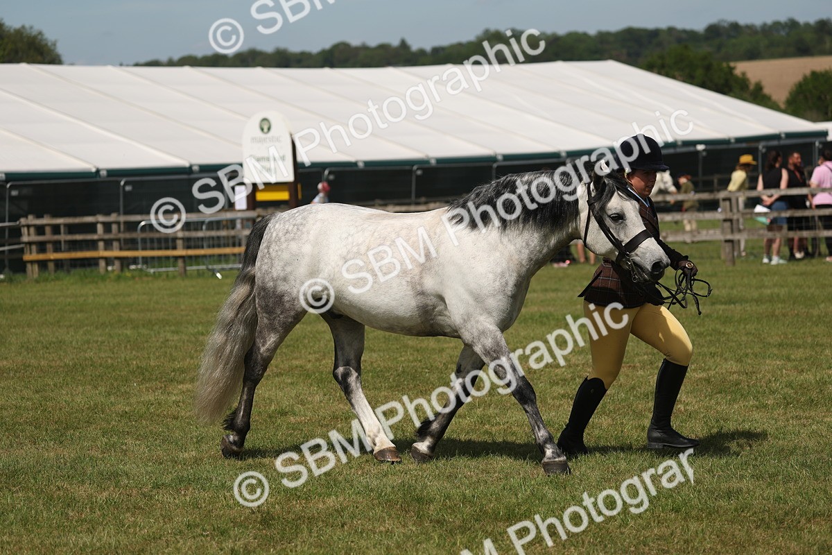 SBM_07633 - Class 26-30 - Mountain and Moorland Ridden