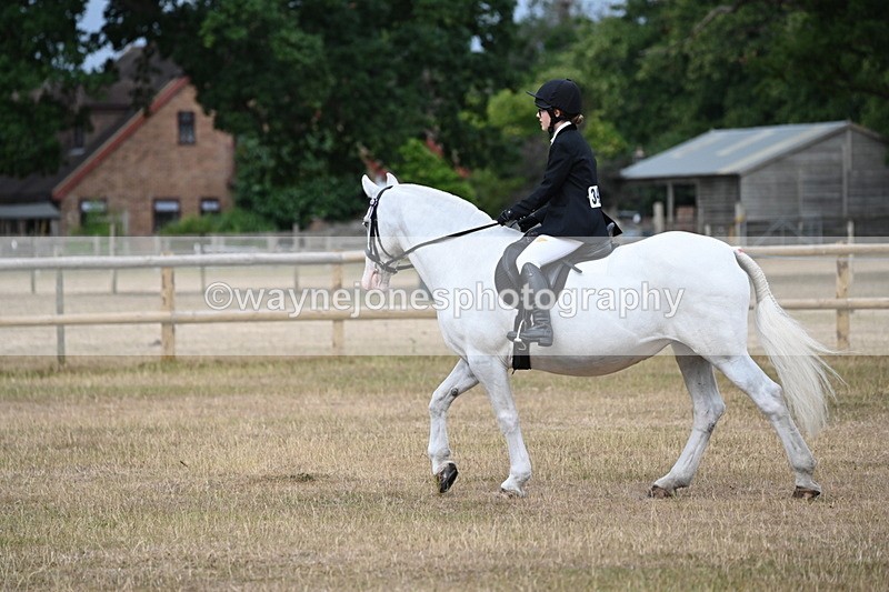 WJ6_7377 - Class 9 Tack and Turnout