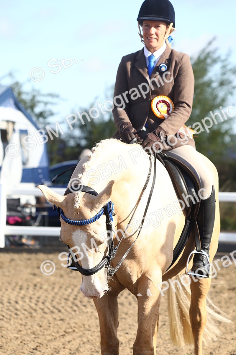 SBM_08603 - Class 502 - Riding Club Horse