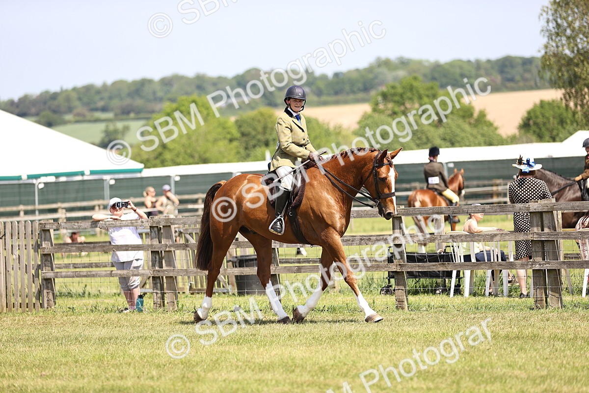 SBM_15045 - Class 79-80 - LIHS BSHA Rising Star Ridden Hunter