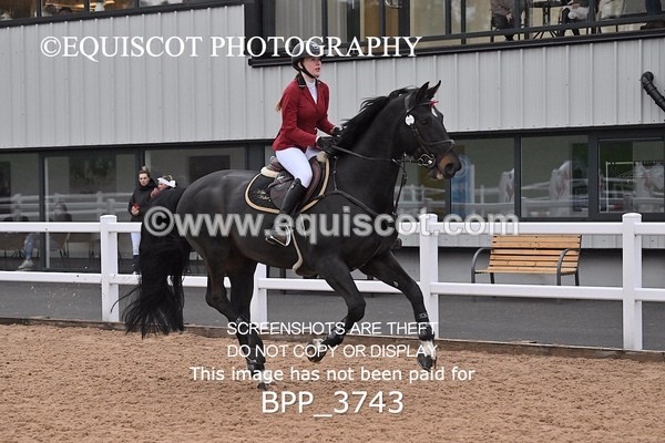 BPP_3743 - CLASS 15 - SAT - Senior 1.05 Open