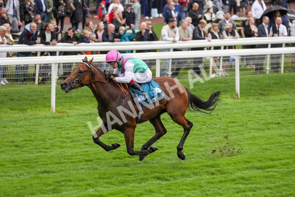 080924-Race 1-Windlord-4347 - Race 1 1.40pm British European Breeders Fund Novice Stakes