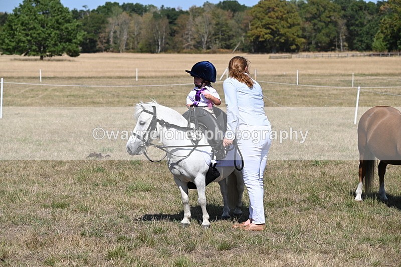 WJ6_9520 - Class 40 Cheekiest Pony/Horse