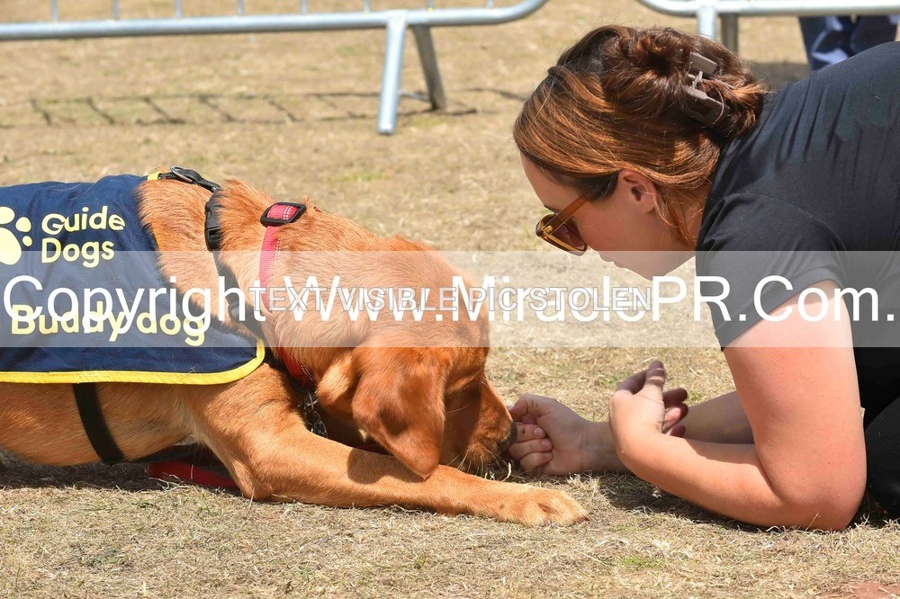 SH4_0233 - Dog show.