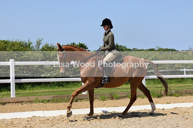 1X9A1890 - Class 12: Ridden Riding Horse/Hack