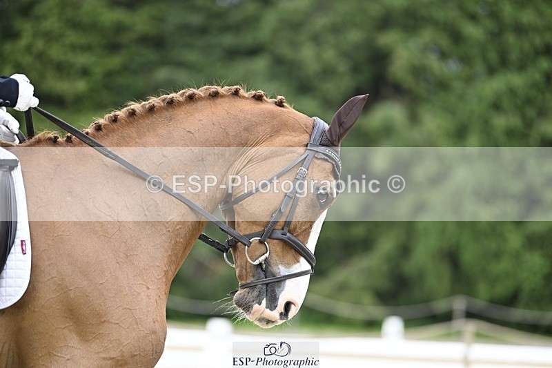 240523-174202-06443 - 114-NICO-Holly_Clarke