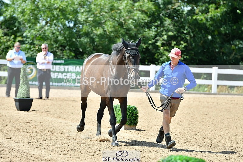 230719A-140618-00530 - Trot Up 2pm to 3pm