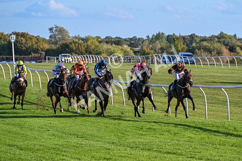 300926-Race 6-Wait For It-6872 - Race 6 4.50pm racingtv.com Handicap