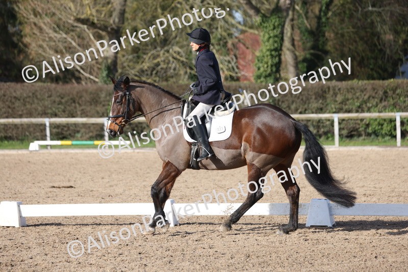 20260214-0558 - Class 5 - Novice 3