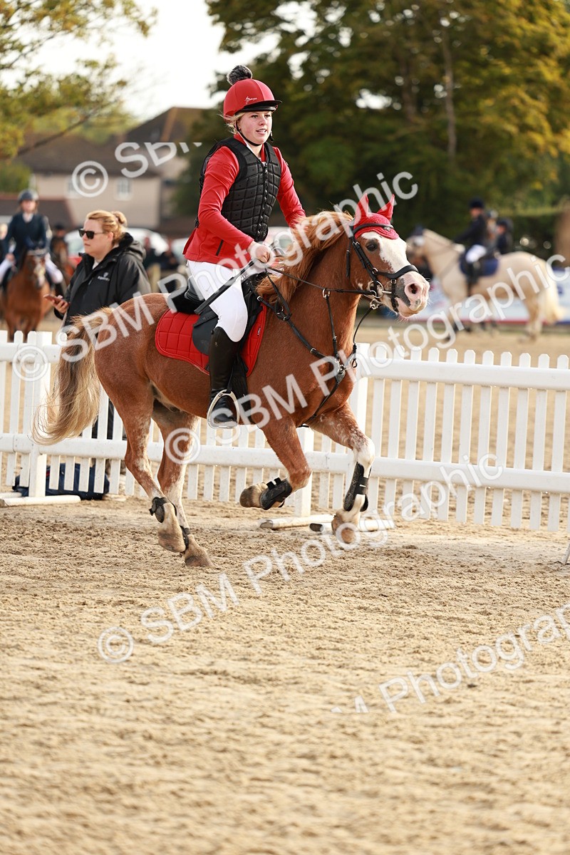 SBM_55634 - J11 - Junior Pony 50cm Championship