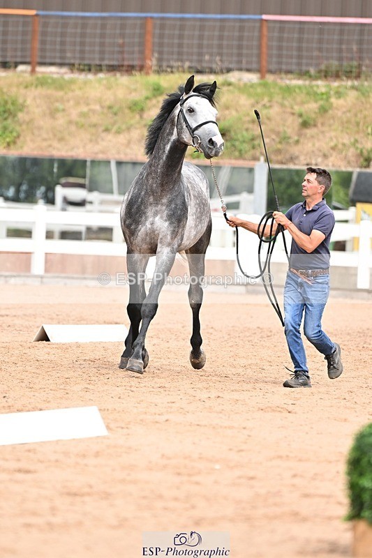 250716-153820-02072 - Trot Up 3.30 to 4.30