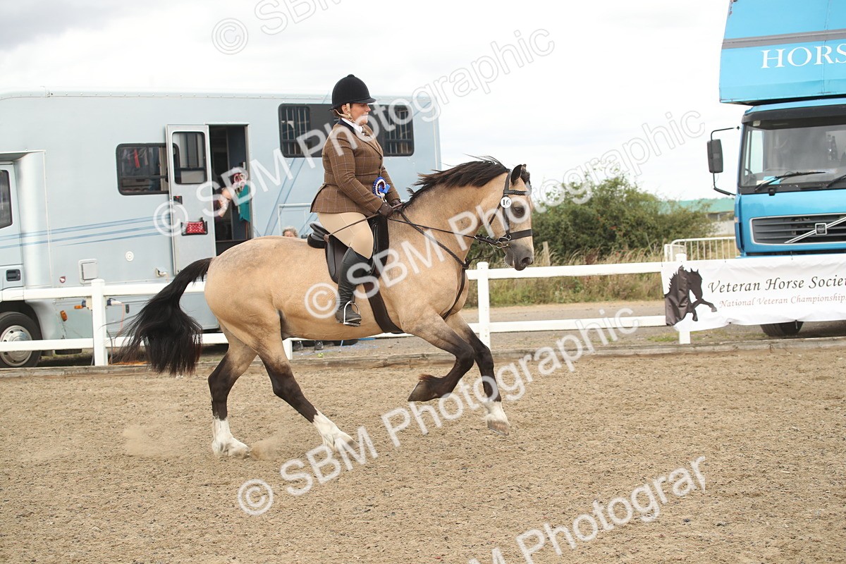 SBM_16718 - Class 507a - Working Veteran - 60cm (15-19)