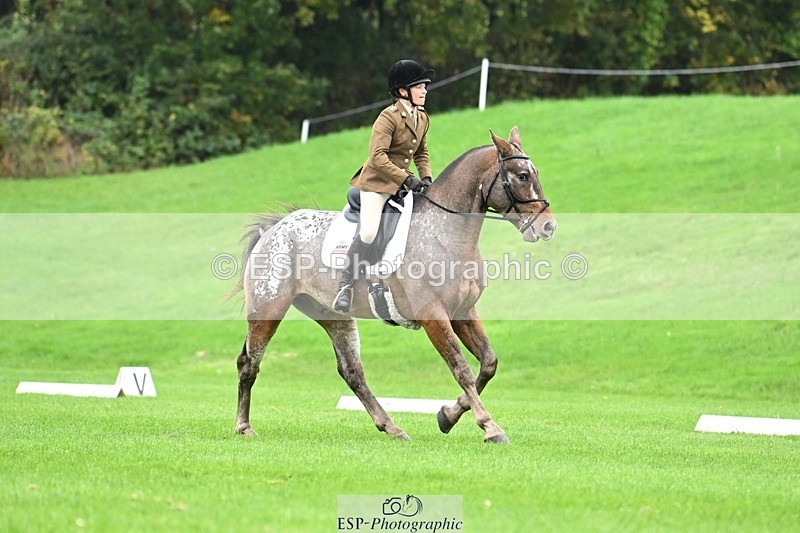 241024-105258-03076 - 501-Captain.Holly.Day-MUSTANG