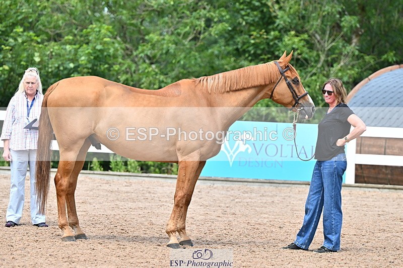 240718A-105320-01871 - Trot Up 1pm to 2pm